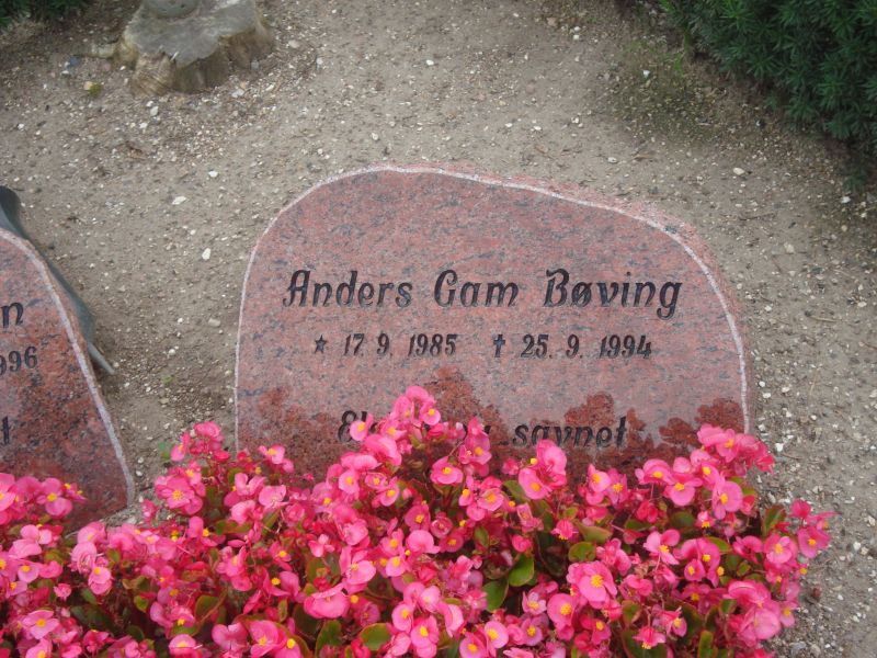 Anders Gam Boeving.JPG